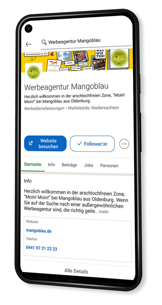 LinkedIn - Oldenburg - Mangoblau