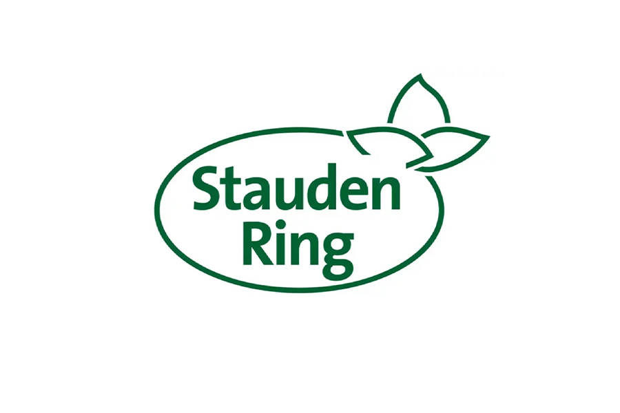 Stauden Ring Logo vorher