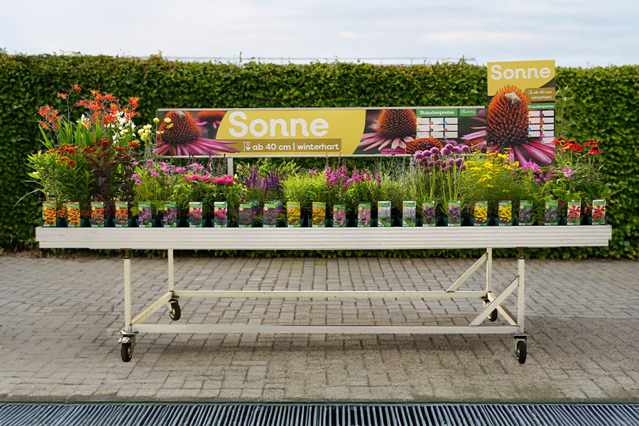 Stauden Ring Tischaufsteller bestueckt nachher