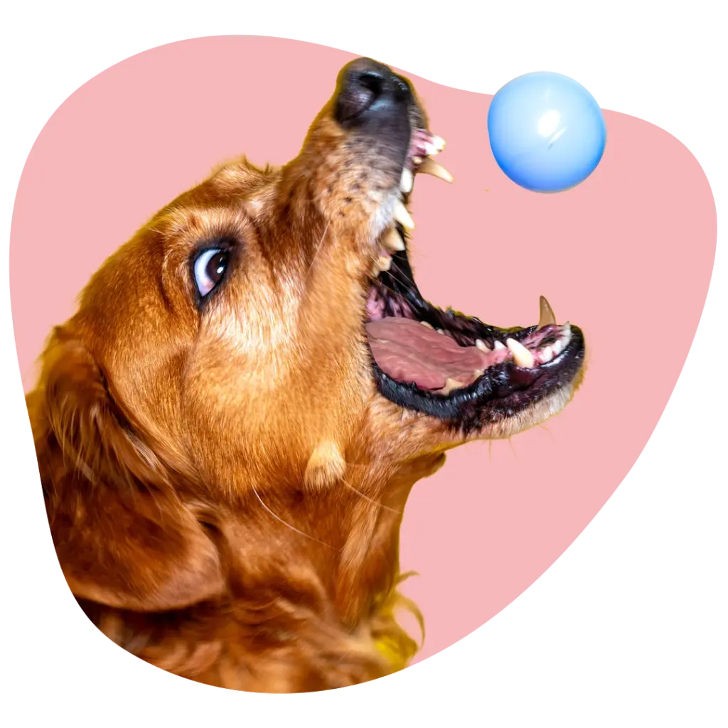 Indi Profilbild rosa